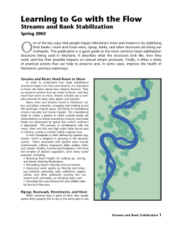 Learning to Go with the Flow: Streams and Bank