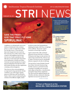 spirulina! - Smithsonian Tropical Research Institute