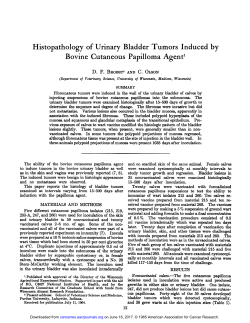 Histopathology of Urinary Bladder Tumors
