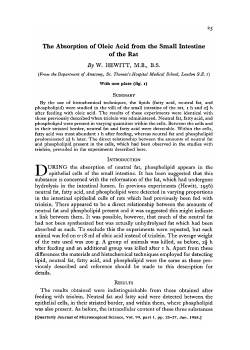 The Absorption of Oleic Acid from the Small Intestine of the Rat ByW