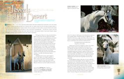 Publication in "Arabian Horse World" (USA)