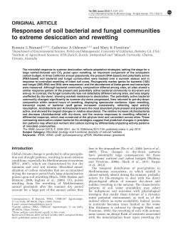Responses of soil bacterial and fungal communities to