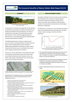 Economic Benefits of Native Shelter Belts Report
