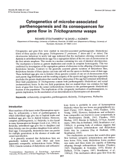 gene flow in Trichogramma wasps