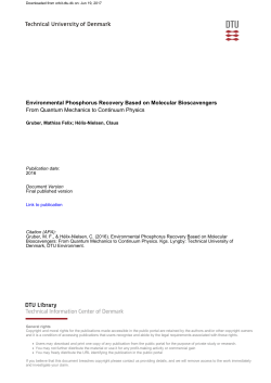 Environmental Phosphorus Recovery Based on