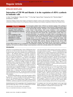 Interaction of TIF-90 and filamin A in the regulation of rRNA
