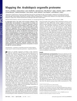 Mapping the Arabidopsis organelle proteome