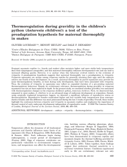 Thermoregulation during gravidity in the children`s