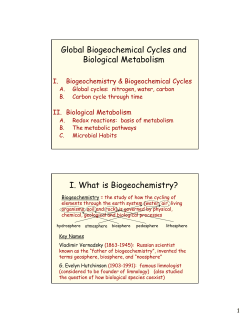 Global Biogeochemical Cycles and Biological Metabolism I. What is