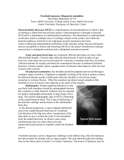 Forelimb lameness: Diagnostic modalities Don Hulse Diplomate