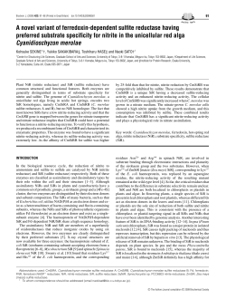 A novel variant of ferredoxin-dependent sulfite reductase having