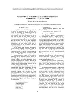 observations on the life cycle and reproductive behaviorin rana