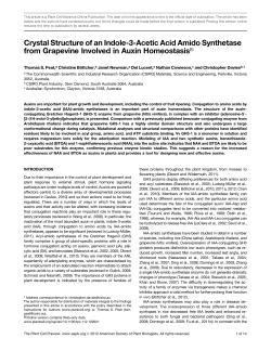 Crystal Structure of an Indole-3-Acetic Acid Amido