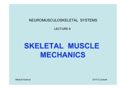 SKELETAL MUSCLE MECHANICS