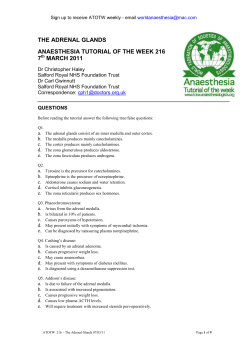The Adrenal Glands