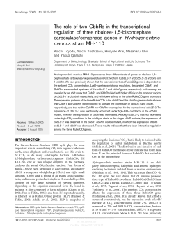 The role of two CbbRs in the transcriptional