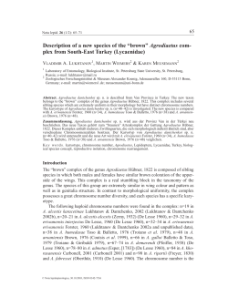 Description of a new species of the &ldquo;brown&rdquo; Agrodiaetus com