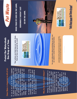 pet care brochure