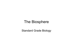 The Biosphere - Deans Community High School