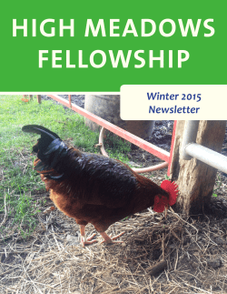 Newsletter - High Meadows Foundation