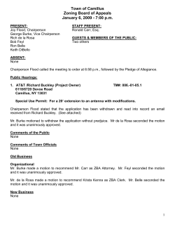Town of Camillus Zoning Board of Appeals January 6, 2009