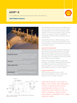 ADIP&reg;-X - Shell Global