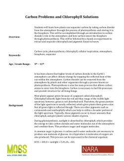 Carbon Problems and Chlorophyll Solutions