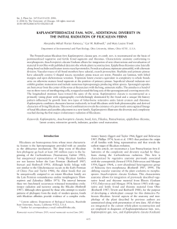 kaplanopteridaceae fam. nov., additional diversity in the initial