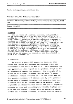 Mapping adenines, guanines, and pyrimidines in RNA