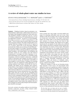 A REVIEW OF WHOLE-PLANT WATER USE STUDIES IN TREES