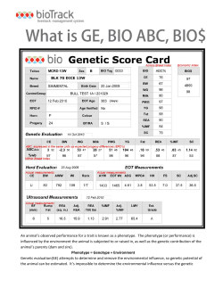An animal`s observed performance for a trait is known as a