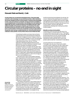 Circular proteins