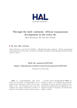 Through the dark continent: African trypanosome - HAL