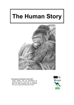 The Human Story