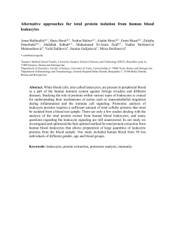 Alternative approaches for total protein isolation from human blood