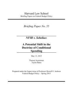 JAYARAMAN - Briefing Paper No. 55