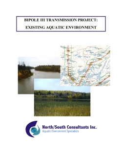 Appendix 5 - Manitoba Hydro