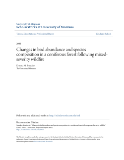 Changes in bird abundance and species composition in a