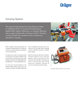 Carrying System 3000