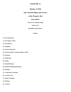 CHAPTER 13 Slander of Title and Assorted Slings and Arrows of the