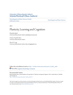 Plasticity, Learning and Cognition