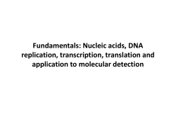 Fundamentals: Nucleic acids, DNA replication, transcription