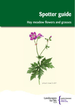 spotterguidehaymeadowflowersandgrasses