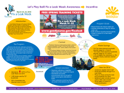 Let`s Play Ball! Fix a Leak Week Awareness Incentive