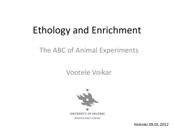 Ethology and Enrichment