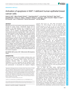 Activation of apoptosis in NAF-1-deficient human epithelial breast