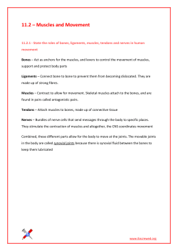 11.2 &ndash; Muscles and Movement