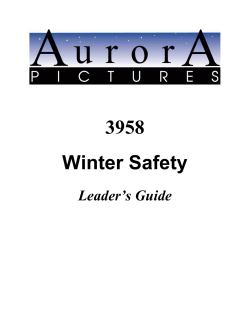 3958 Winter Safety