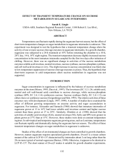 effect of transient temperature change on sucrose metabolism in