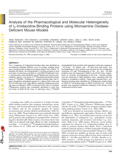 Analysis of the Pharmacological and Molecular Heterogeneity of I2